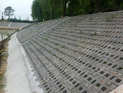 洛陽(yáng)護(hù)坡磚-案例